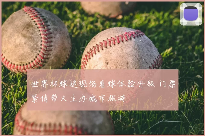 世界杯球迷现场看球体验升级 门票紧俏带火主办城市旅游