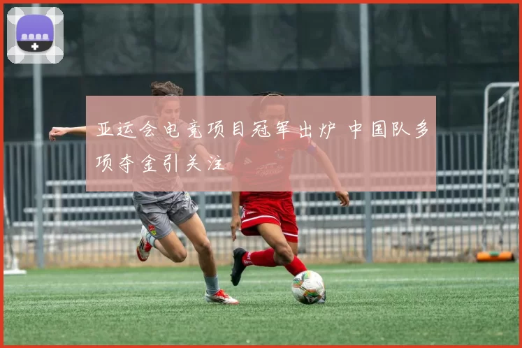 亚运会电竞项目冠军出炉 中国队多项夺金引关注