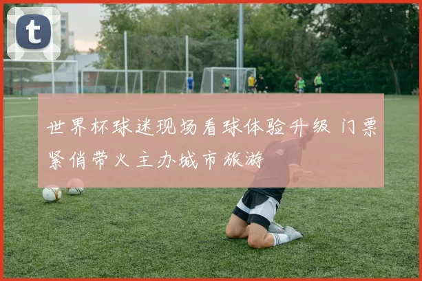 世界杯球迷现场看球体验升级 门票紧俏带火主办城市旅游