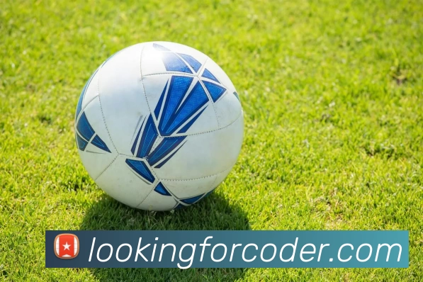 星空平台在线登录服务体系